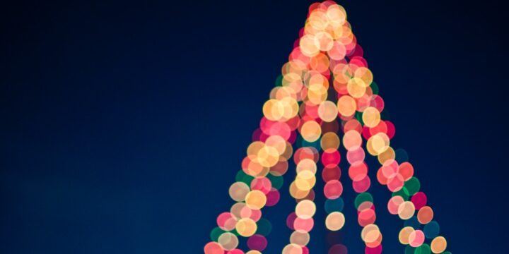 Are there any alternatives to Christmas trees during the holidays?