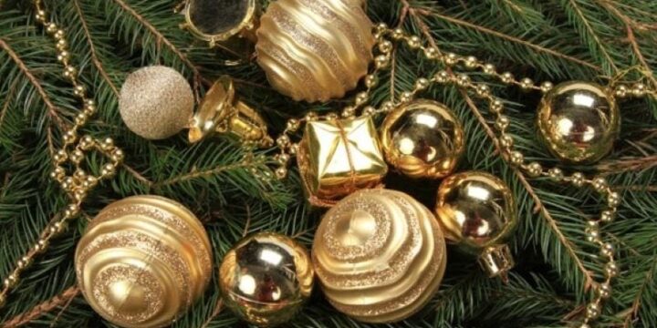 How to choose a Christmas tree that lasts longer