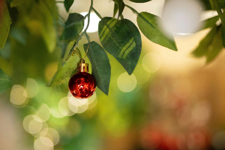 The History Behind Christmas and the Appeal of a Blue Tree